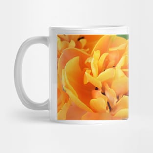 Tulipa  'Freeman'    Double Late Group Tulip Mug